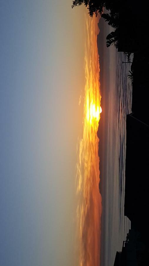 Drommedaris Apartment Gordons Bay Bagian luar foto